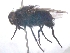  ( - MACN-EN-DIP-00C1)  @11 [ ] Copyright (2016) MACN Museo Argentino de Ciencias Naturales Bernardino Rivadavia