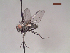 ( - MACN-EN-DIP111)  @11 [ ] Copyright (2019) MACN Museo Argentino de Ciencias Naturales, Bernardino Rivadavia