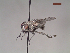  ( - MACN-EN-DIP112)  @11 [ ] Copyright (2019) MACN Museo Argentino de Ciencias Naturales, Bernardino Rivadavia