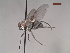  ( - MACN-EN-DIP113)  @11 [ ] Copyright (2019) MACN Museo Argentino de Ciencias Naturales, Bernardino Rivadavia