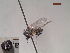  ( - MACN-EN-DIP118)  @11 [ ] Copyright (2019) MACN Museo Argentino de Ciencias Naturales, Bernardino Rivadavia