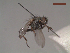  ( - MACN-EN-DIP124)  @11 [ ] Copyright (2019) MACN Museo Argentino de Ciencias Naturales, Bernardino Rivadavia