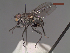  ( - MACN-EN-DIP229)  @11 [ ] Copyright (2019) MACN Museo Argentino de Ciencias Naturales, Bernardino Rivadavia