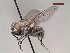  ( - MACN-EN-DIP25)  @11 [ ] Copyright (2019) MACN Museo Argentino de Ciencias Naturales, Bernardino Rivadavia