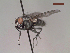 ( - MACN-EN-DIP26)  @11 [ ] Copyright (2019) MACN Museo Argentino de Ciencias Naturales, Bernardino Rivadavia