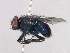  ( - MACN-EN_DIP-189)  @11 [ ] Copyright (2019) MACN Museo Argentino de Ciencias Naturales, Bernardino Rivadavia