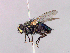  ( - MACN-EN_DIP-201)  @11 [ ] Copyright (2019) MACN Museo Argentino de Ciencias Naturales, Bernardino Rivadavia
