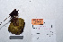  ( - DH2014032)  @11 [ ] CreativeCommons - Attribution Non-Commercial (2014) James Holkko Unspecified