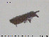  ( - SV-pit38)  @11 [ ] CreativeCommons - Attribution Non-Commercial Share-Alike (2015) NTNU University Museum, Department of Natural History NTNU University Museum, Department of Natural History