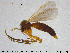  ( - SV-pit52)  @13 [ ] CreativeCommons - Attribution Non-Commercial Share-Alike (2015) NTNU University Museum, Department of Natural History NTNU University Museum, Department of Natural History