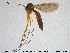  ( - SV-pit56)  @13 [ ] CreativeCommons - Attribution Non-Commercial Share-Alike (2015) NTNU University Museum, Department of Natural History NTNU University Museum, Department of Natural History