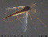  ( - SV-pit94)  @13 [ ] CreativeCommons - Attribution Non-Commercial Share-Alike (2015) NTNU University Museum, Department of Natural History NTNU University Museum, Department of Natural History