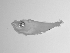  ( - SWACR-175)  @12 [ ] CreativeCommons - Attribution Non-Commercial Share-Alike (2011) Akihiro Shiroza NOAA, SEFSC Early Life History Dynamics Team