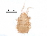  ( - BIOUG27128-C02)  @14 [ ] CreativeCommons - Attribution (2016) CBG Photography Group Centre for Biodiversity Genomics
