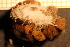  ( - Echin 6755V)  @11 [ ] CreativeCommons - Attribution Non-Commercial Share-Alike (2014) Goteborg Natural History Museum Göteborg Natural History Museum