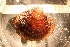  ( - MollOvr 8414V)  @11 [ ] CreativeCommons - Attribution Non-Commercial Share-Alike (2014) Goteborg Natural History Museum Göteborg Natural History Museum