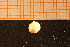  ( - MollOvr 8763V)  @11 [ ] CreativeCommons - Attribution Non-Commercial Share-Alike (2014) Goteborg Natural History Museum Göteborg Natural History Museum