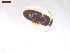  ( - SWOB001)  @11 [ ] Copyright (2019) Julia Mlynarek AAFC