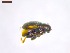  ( - SWOB135)  @11 [ ] Copyright (2019) Julia Mlynarek AAFC