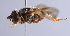  ( - CNC 263259)  @11 [ ] CreativeCommons - Attribution Non-Commercial Share-Alike (2014) Jeffrey H. Skevington Agriculture and Agri-Food Canada