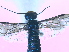  ( - bf-sym-00001)  @12 [ ] CreativeCommons - Attribution Non-Commercial Share-Alike (2012) Ole Lonnve BioFokus