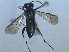  ( - bf-sym-00026)  @12 [ ] CreativeCommons - Attribution Non-Commercial Share-Alike (2012) Ole Lonnve BioFokus