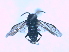  ( - bf-sym-00006)  @12 [ ] CreativeCommons - Attribution Non-Commercial Share-Alike (2012) Ole Lonnve BioFokus