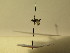 ( - bf-sym-00137)  @11 [ ] CreativeCommons - Attribution Share-Alike (2017) Lønnve, O.J BioFokus