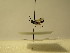  ( - bf-sym-00169)  @13 [ ] CreativeCommons - Attribution Share-Alike (2017) Lønnve, O.J BioFokus