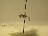  ( - bf-sym-00190)  @12 [ ] CreativeCommons - Attribution Share-Alike (2017) Lønnve, O.J BioFokus