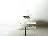  ( - bf-sym-00202)  @12 [ ] CreativeCommons - Attribution Share-Alike (2017) Lønnve, O.J BioFokus