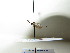  ( - bf-sym-00232)  @12 [ ] CreativeCommons - Attribution Share-Alike (2017) Lønnve, O.J BioFokus