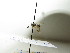  ( - bf-sym-00234)  @12 [ ] CreativeCommons - Attribution Share-Alike (2017) Lønnve, O.J BioFokus