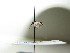  ( - bf-sym-00235)  @12 [ ] CreativeCommons - Attribution Share-Alike (2017) Lønnve, O.J BioFokus