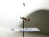  ( - bf-sym-00245)  @12 [ ] CreativeCommons - Attribution Share-Alike (2017) Lønnve, O.J BioFokus