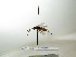  ( - bf-sym-00250)  @12 [ ] CreativeCommons - Attribution Share-Alike (2017) Lønnve, O.J BioFokus