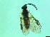  ( - bf-sym-00350)  @12 [ ] CreativeCommons - Attribution Share-Alike (2017) Lønnve, O.J BioFokus
