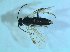  ( - bf-sym-00491)  @12 [ ] CreativeCommons - Attribution Share-Alike (2018) Lønnve, O.J BioFokus