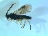  ( - bf-sym-00492)  @12 [ ] CreativeCommons - Attribution Share-Alike (2018) Lønnve, O.J BioFokus