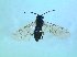 ( - bf-sym-00514)  @13 [ ] CreativeCommons - Attribution Share-Alike (2018) Lønnve, O.J BioFokus