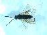  ( - bf-sym-00515)  @12 [ ] CreativeCommons - Attribution Share-Alike (2018) Lønnve, O.J BioFokus