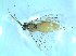  ( - bf-sym-00531)  @12 [ ] CreativeCommons - Attribution Share-Alike (2018) Lønnve, O.J BioFokus