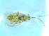  ( - bf-sym-00534)  @12 [ ] CreativeCommons - Attribution Share-Alike (2018) Lønnve, O.J BioFokus
