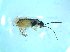  ( - bf-sym-00542)  @13 [ ] CreativeCommons - Attribution Share-Alike (2018) Lønnve, O.J BioFokus