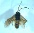 ( - bf-sym-00560)  @12 [ ] CreativeCommons - Attribution Share-Alike (2018) Lønnve, O.J BioFokus