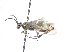  ( - bf-sym-00705)  @12 [ ] CreativeCommons - Attribution Share-Alike (2018) Lønnve, O.J BioFokus