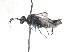  ( - bf-sym-00733)  @11 [ ] CreativeCommons - Attribution Share-Alike (2018) Lønnve, O.J BioFokus