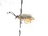  ( - bf-sym-00734)  @12 [ ] CreativeCommons - Attribution Share-Alike (2018) Lønnve, O.J BioFokus