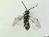  ( - bf-sym-00771)  @11 [ ] CreativeCommons - Attribution Share-Alike (2019) Lønnve, O.J BioFokus