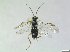  ( - bf-sym-00804)  @11 [ ] CreativeCommons - Attribution Share-Alike (2019) Lønnve, O.J BioFokus